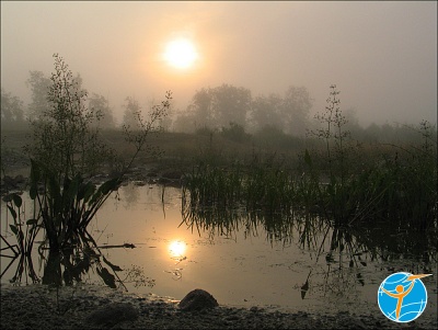 Утро на болоте